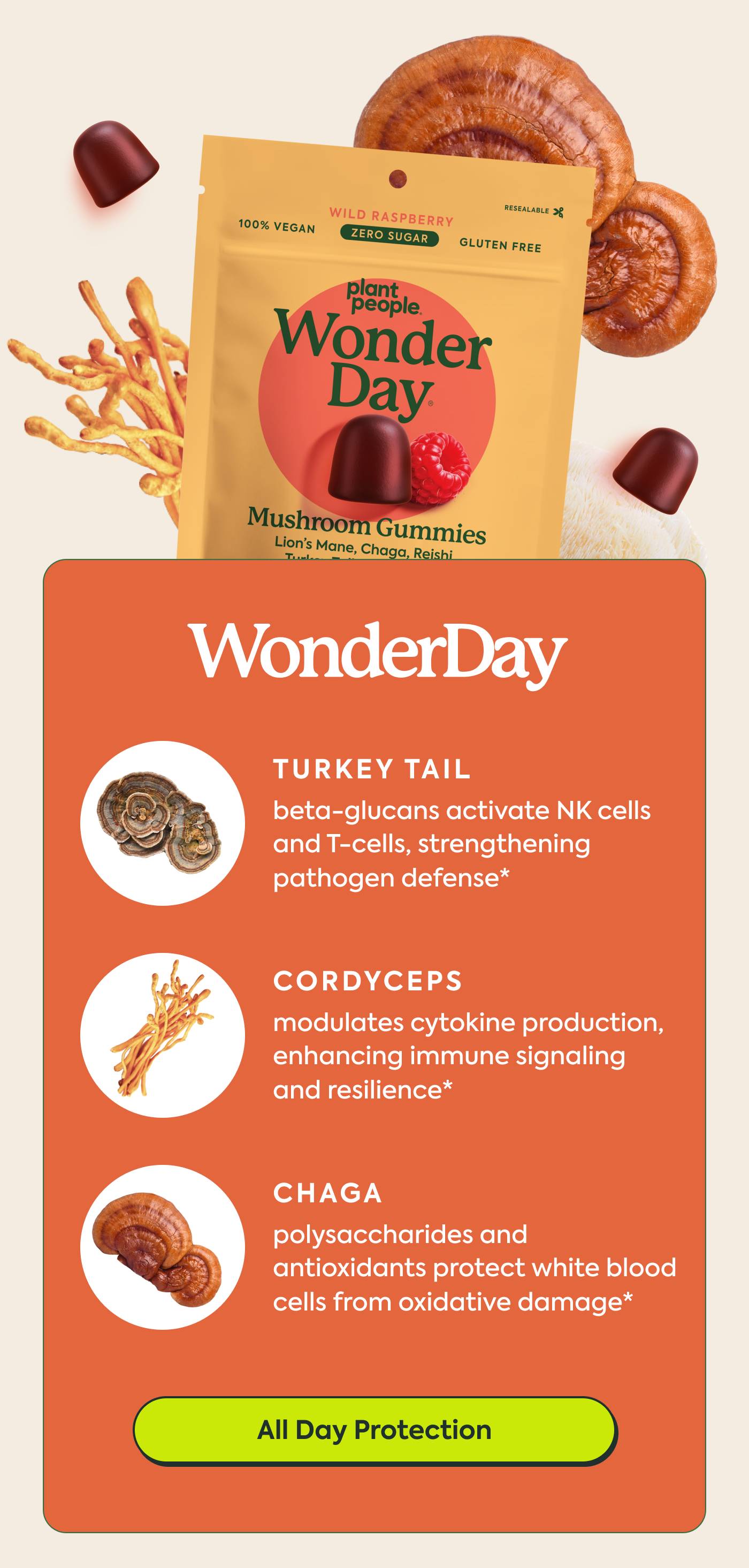 All Day Protection All Day Protection