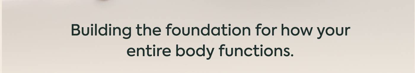 Building the foundation for how your entire body functions.