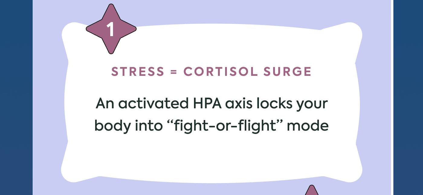 Stress = cortisol surge: An activated HPA axis locks your body into “fight-or-flight” mode Stress = cortisol surge: An activated HPA axis locks your body into “fight-or-flight” mode