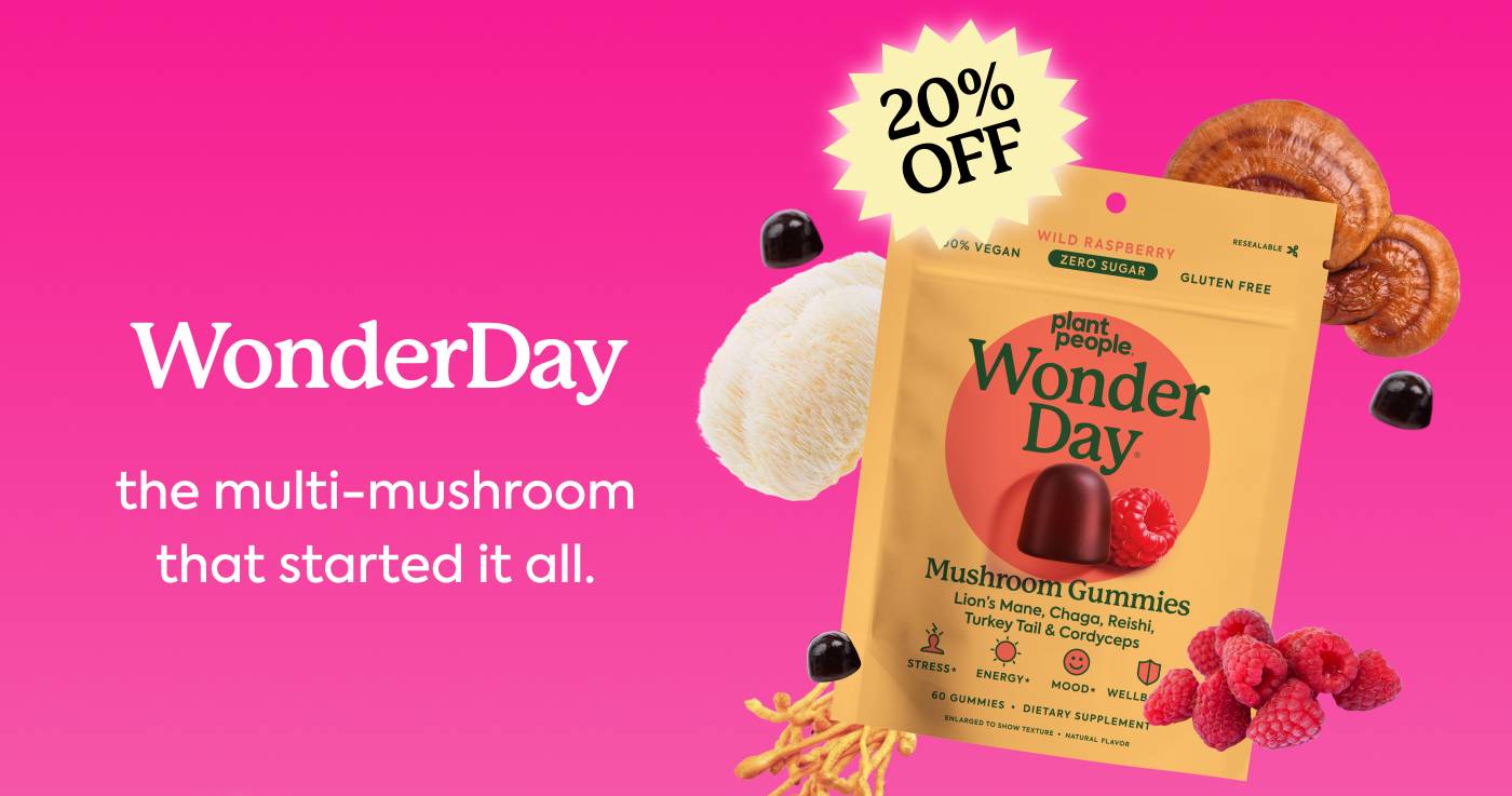 WonderDay – the multi-mushroom that started it all.