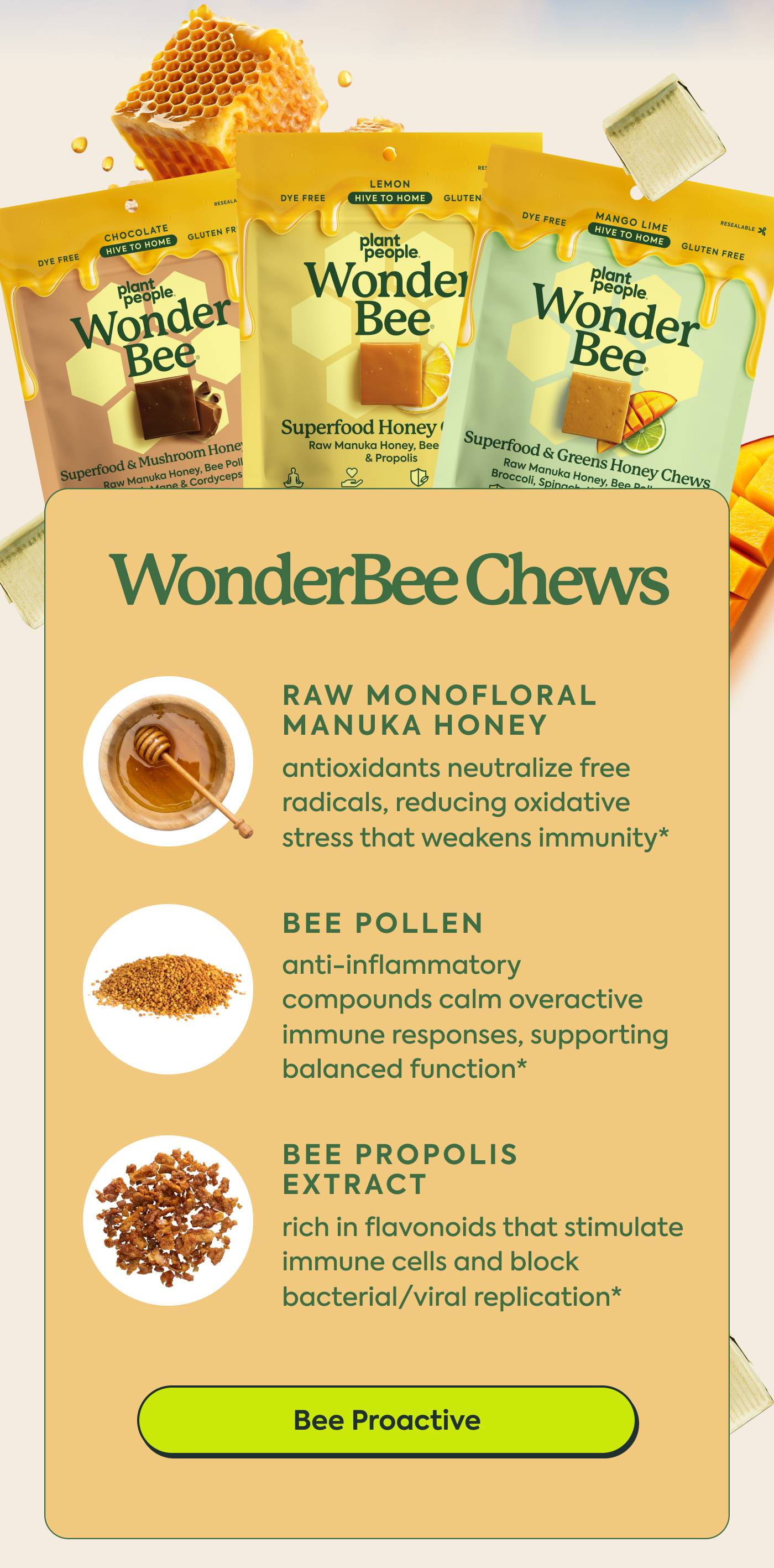 Bee Proactive Bee Proactive