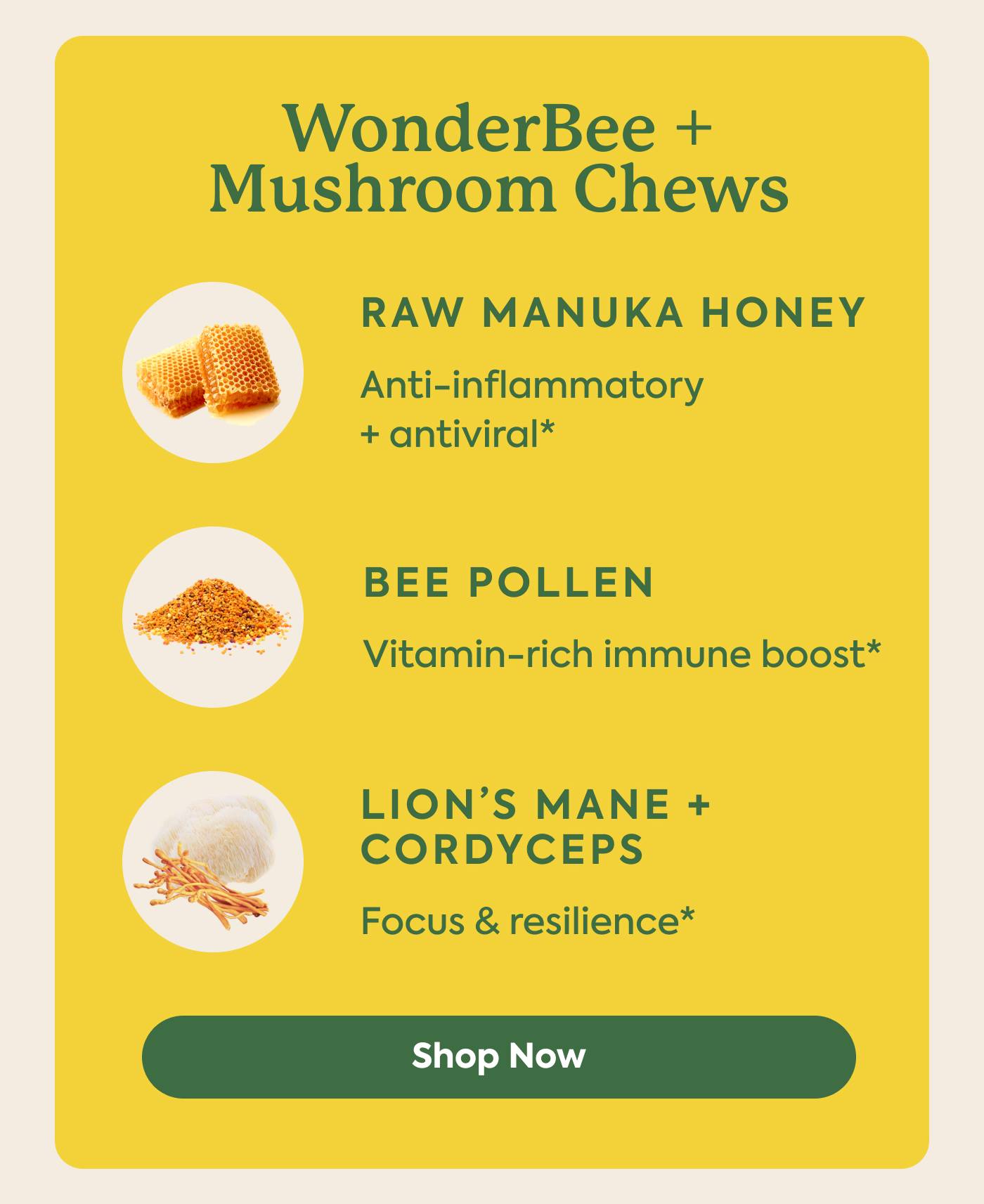WonderBee + Mushroom Chews
