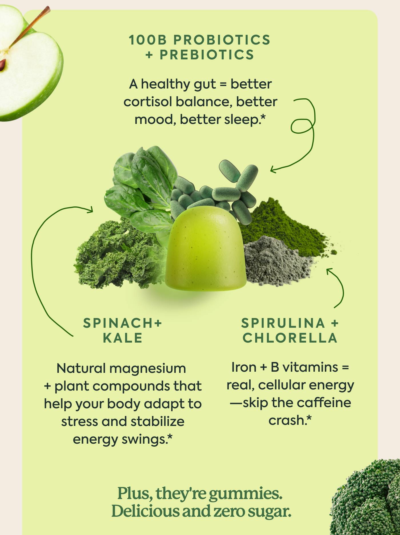 100B Probiotics + Prebiotics: 100B Probiotics + Prebiotics: