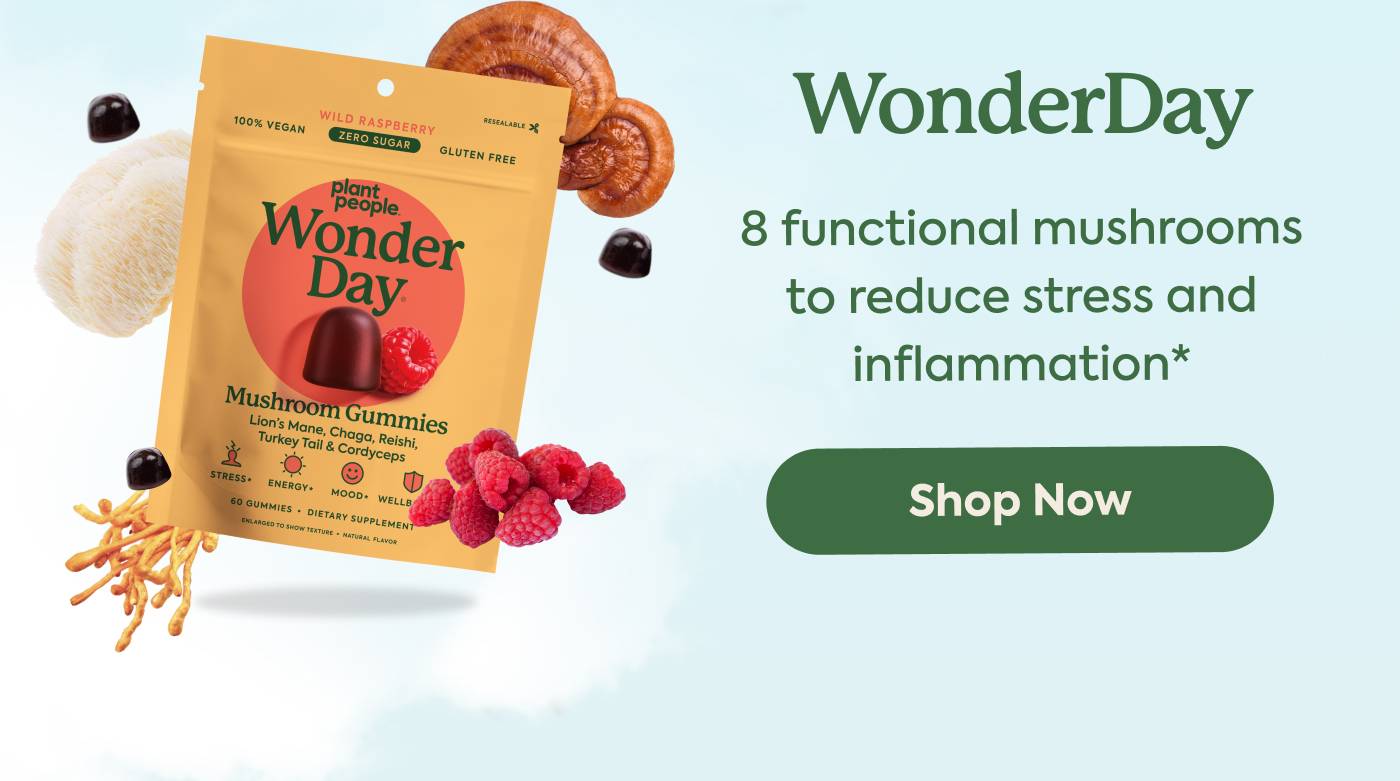 WonderDay: 8 functional mushrooms to reduce stress and inflammation* WonderDay: 8 functional mushrooms to reduce stress and inflammation*