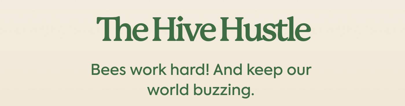 The Hive Hustle | Bees work hard! And keep our world buzzing.