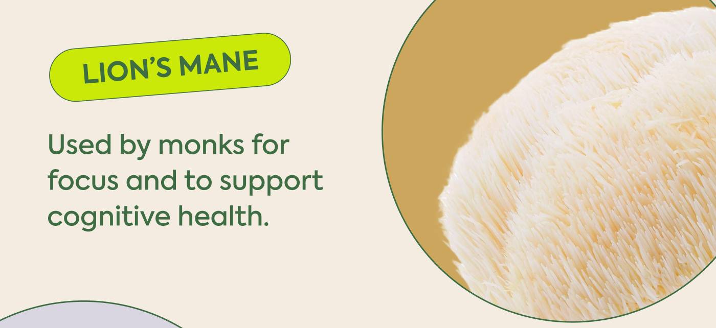 • Lion's Mane: Used by monks for focus and to support cognitive health.