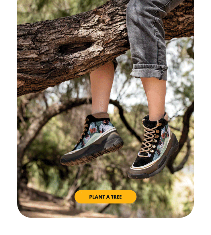 buy a pair of shoes, plant a tree