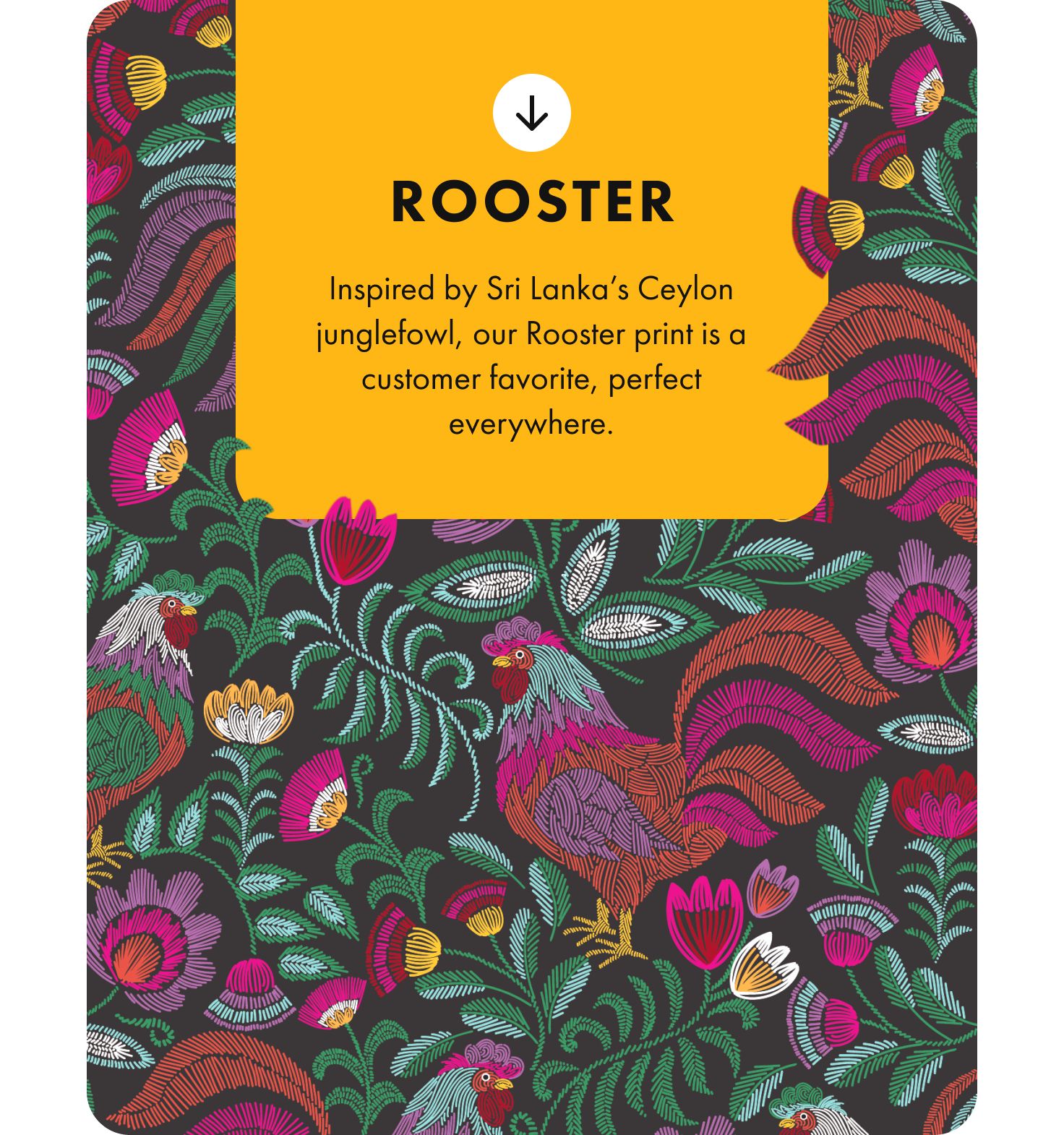rooster