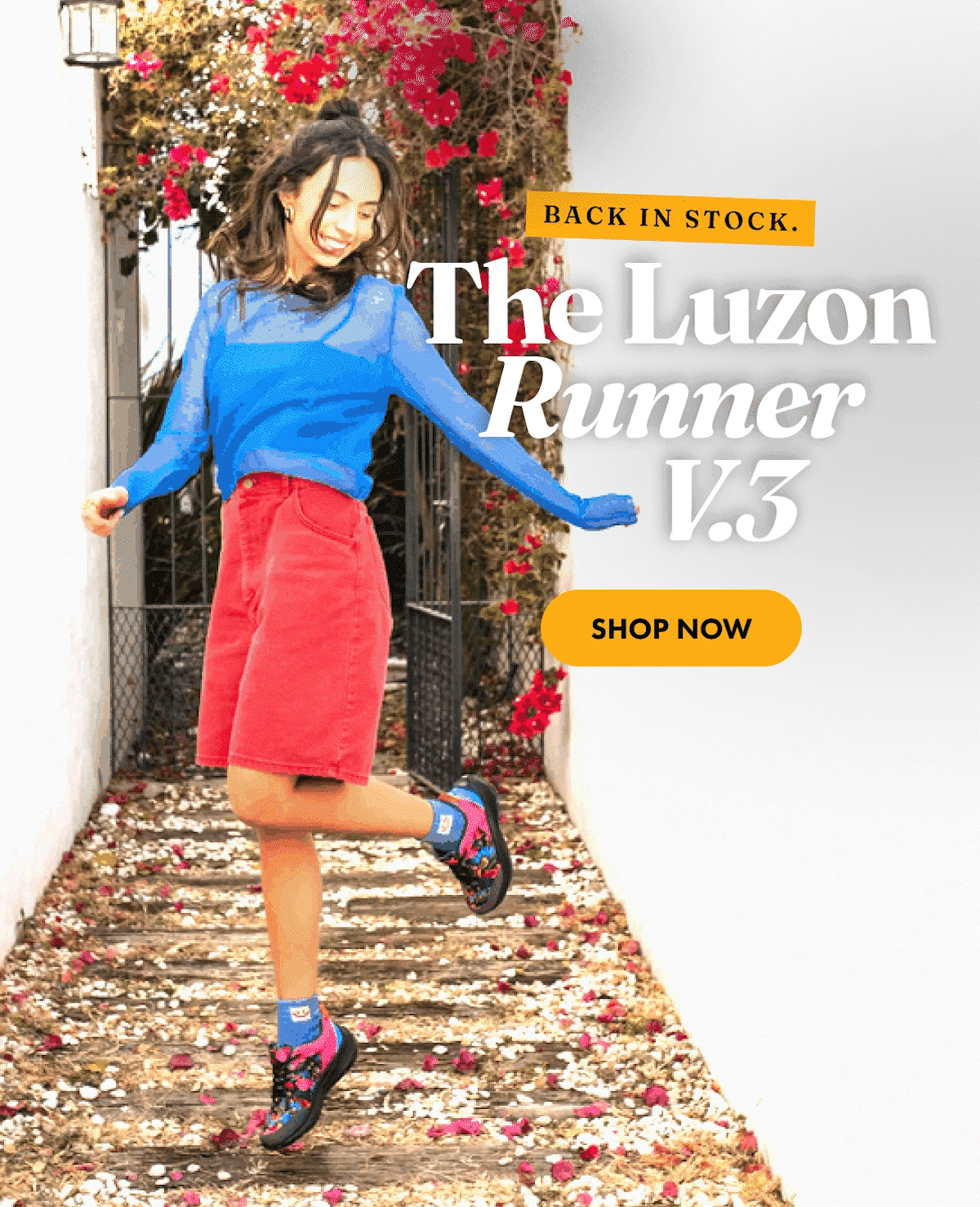 The Luzon Runner v.3