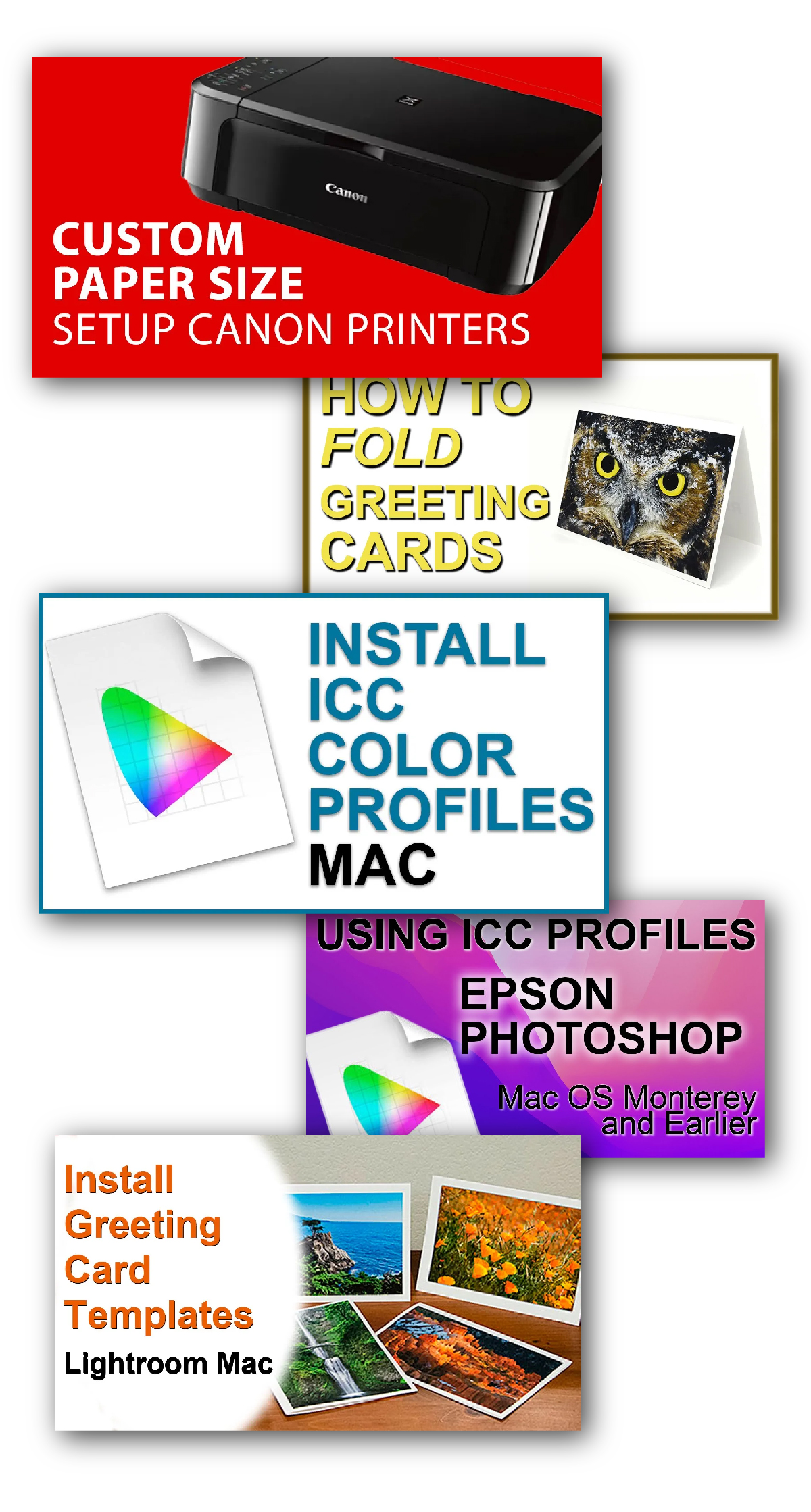 Have You Seen Our Videos Latetly? Red River Paper