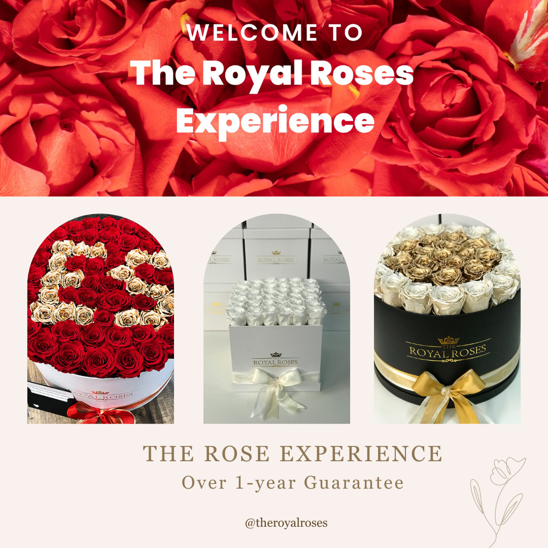 Introduction to The Royal Roses® Experience 🌹 The Royal Roses
