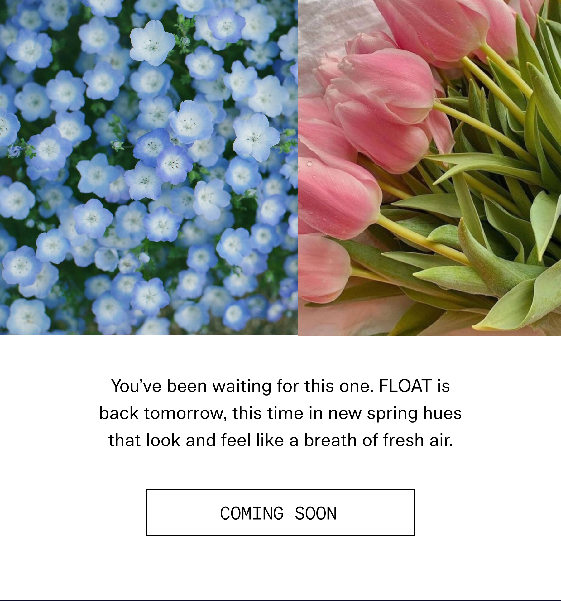  You've been waiting for this one. FLOAT is back tomorrow, this time in new spring hues that look and feel like a breath of fresh air.  |  COMING SOON