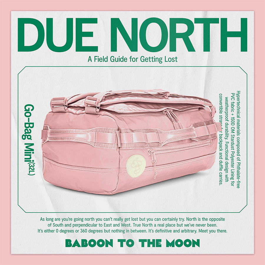DUE NORTH — NEW EPISODE BABOON