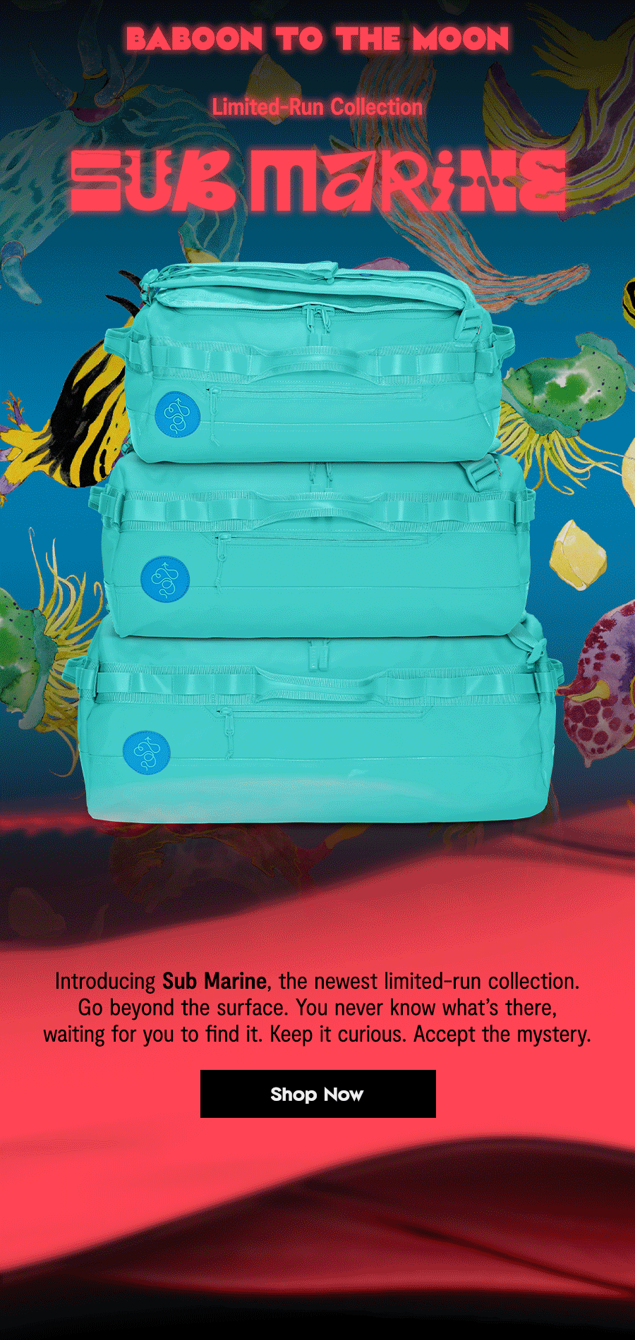 NEW LIMITEDRUN ARTIST PRINTS BABOON