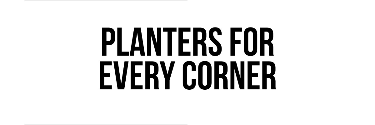 Plants for every corner