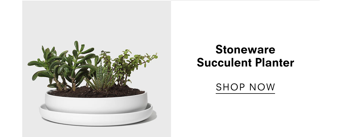 Stoneware Succulent Planter