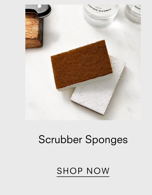 Scruber Sponges