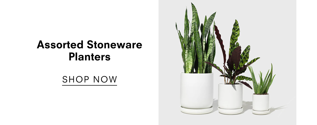 Assorted Stoneware Planters