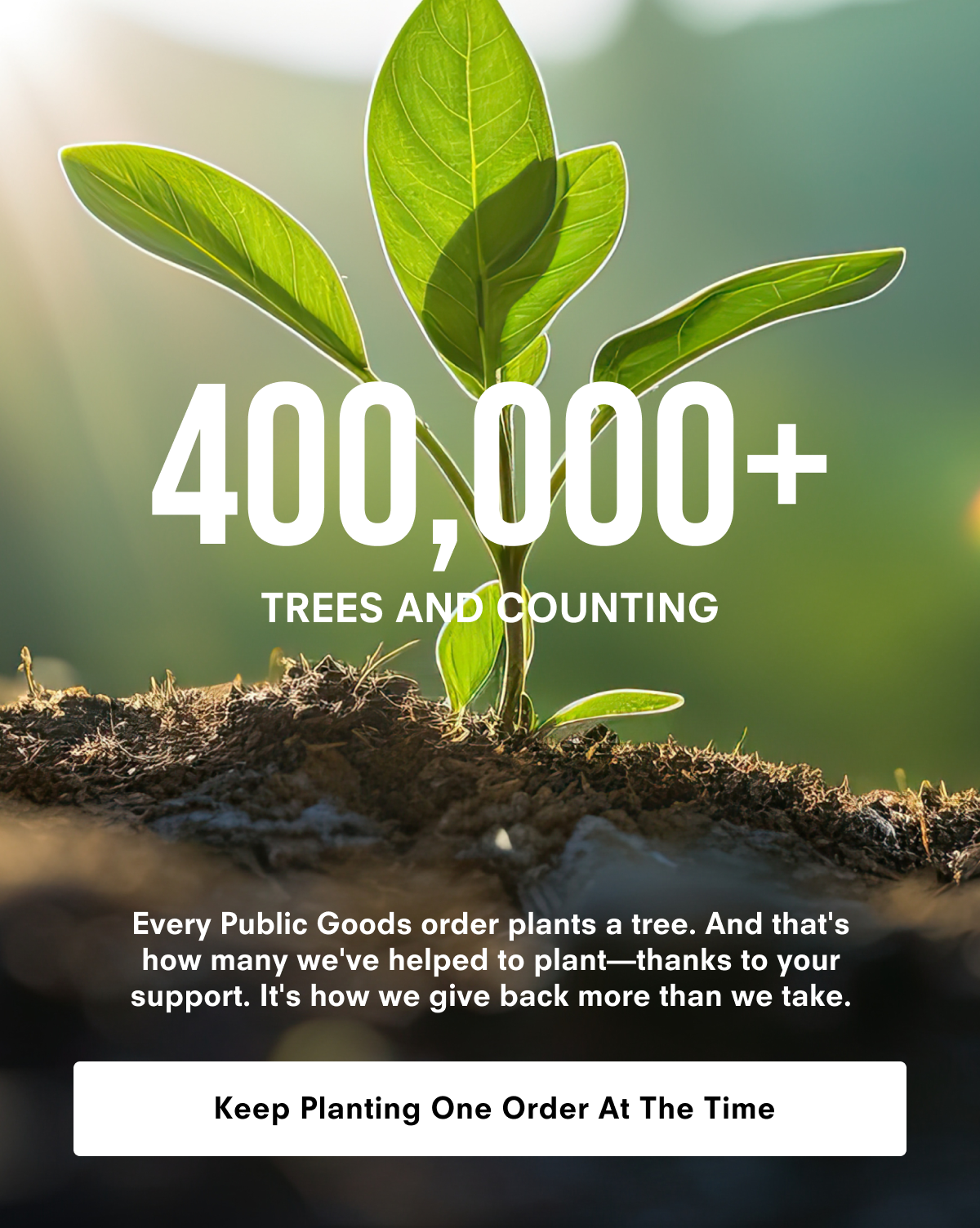 400,000+ trees and counting. Keep Planting One Order At The Time.