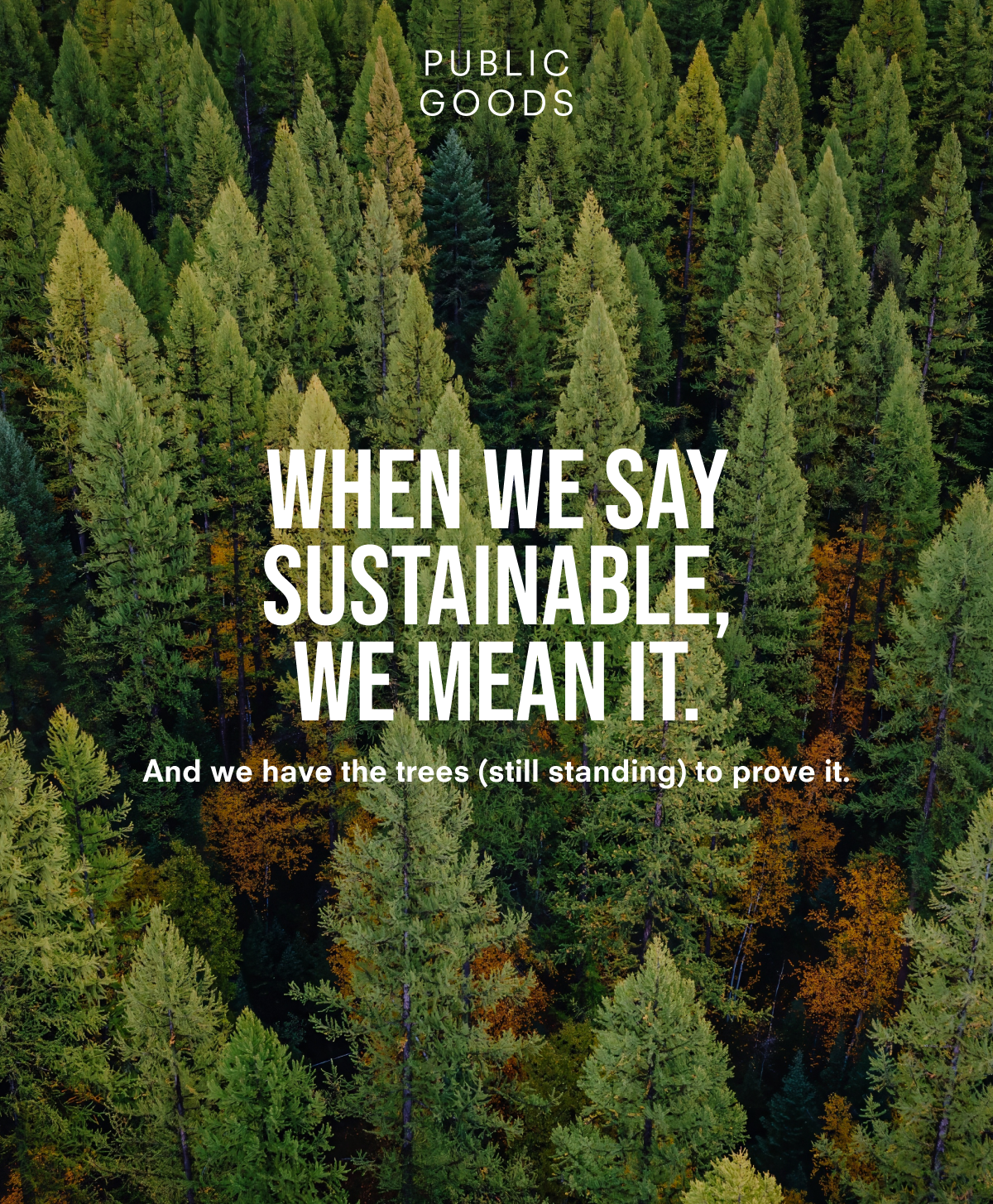 When we say sustainable, we meant it. And we have the trees (still standing) to prove it.