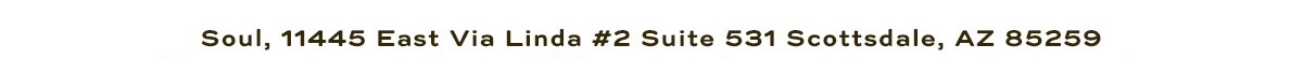 Soul, 11445 East Via Linda #2 Suit 531 Scottsdale, AZ 85259 | We respect your inbox- click here to only receive one email per week. 