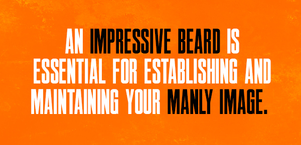 An impressive beard is essential for establishing and maintaining your manly image.