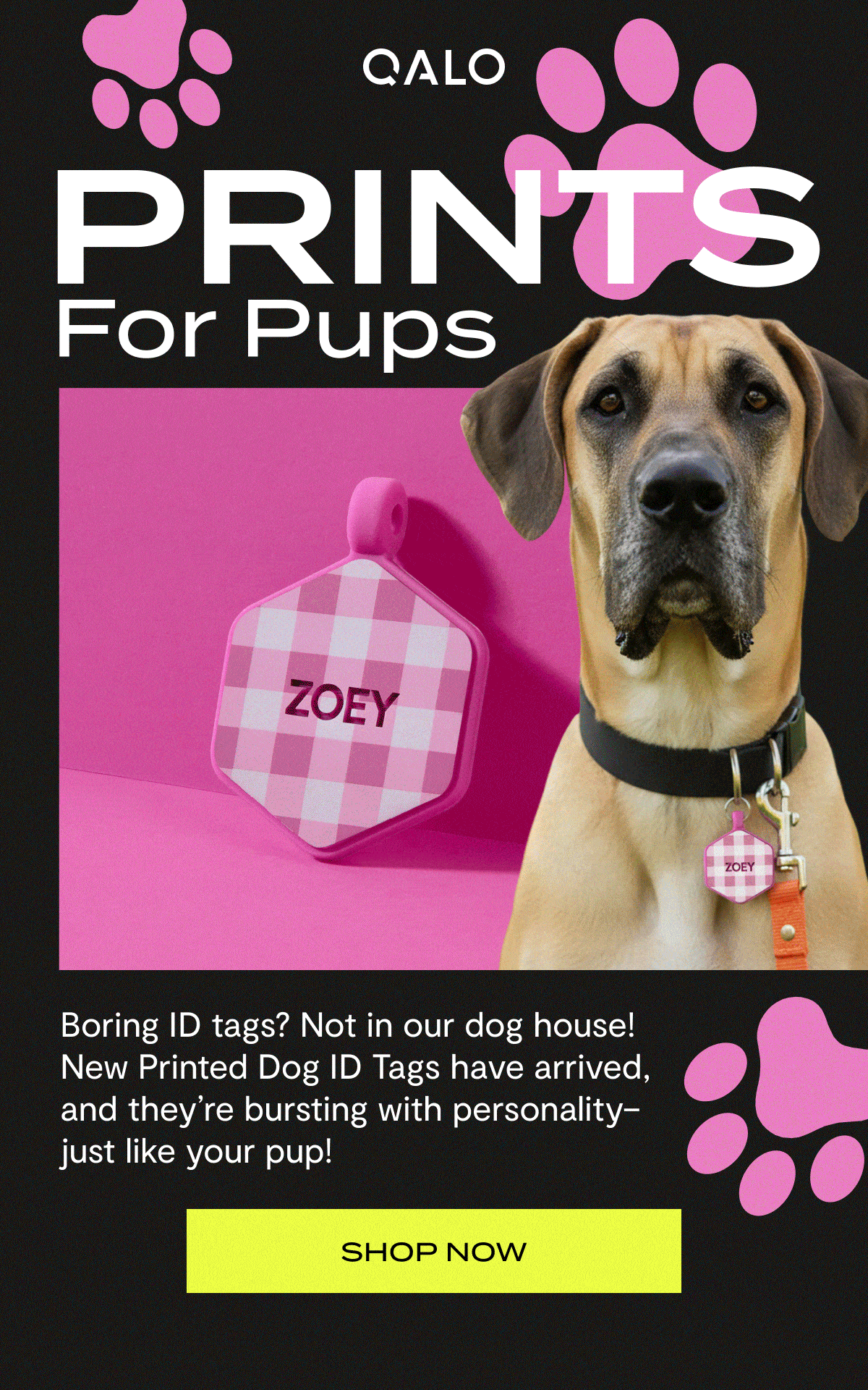 Qalo | Prints for Pups | Boring ID tags? Not in our dog house! New Printed Dog ID Tags have arrived, and they're bursting with personality - just like your pup! | Shop Now