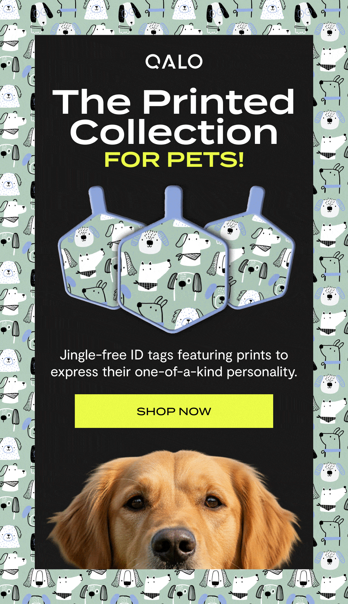 Qalo | The Printed Collection For Pets! | Jingle-free ID tags featuring prints to express their one-of-a-kind personality. | Shop Now