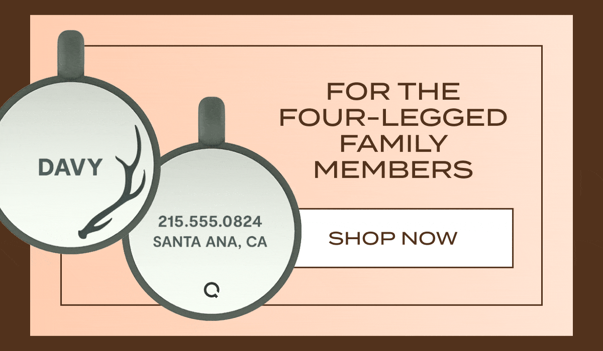 For The Four-Legged Family Members | Shop Now