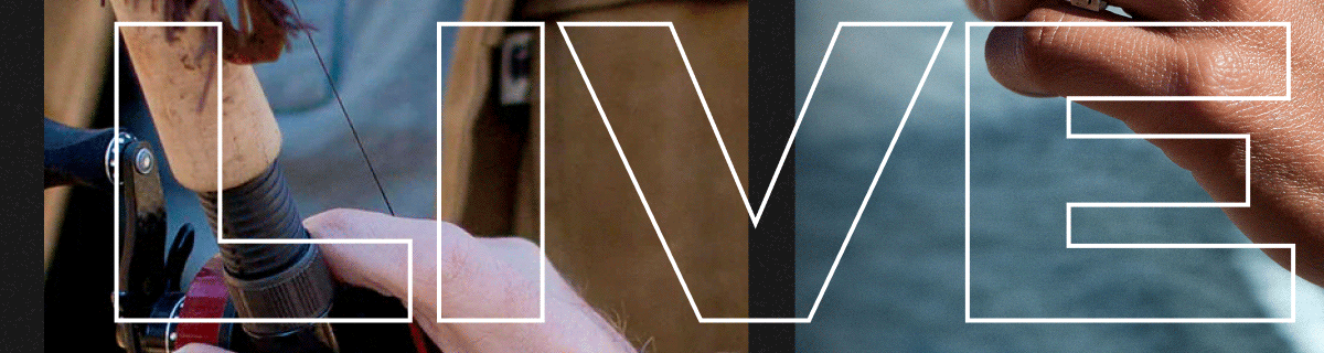 Valentine's Day Sale is Live