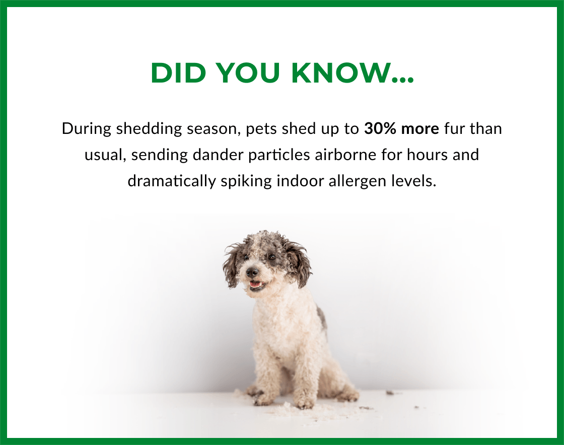 DID YOU KNOW