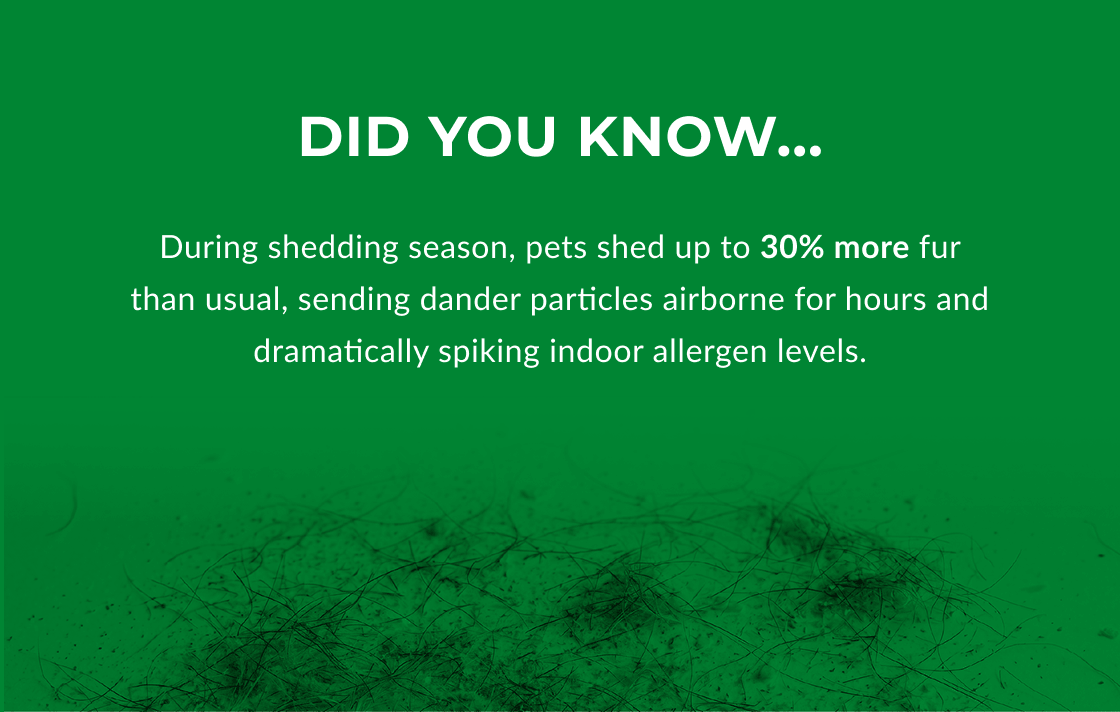 DID YOU KNOW