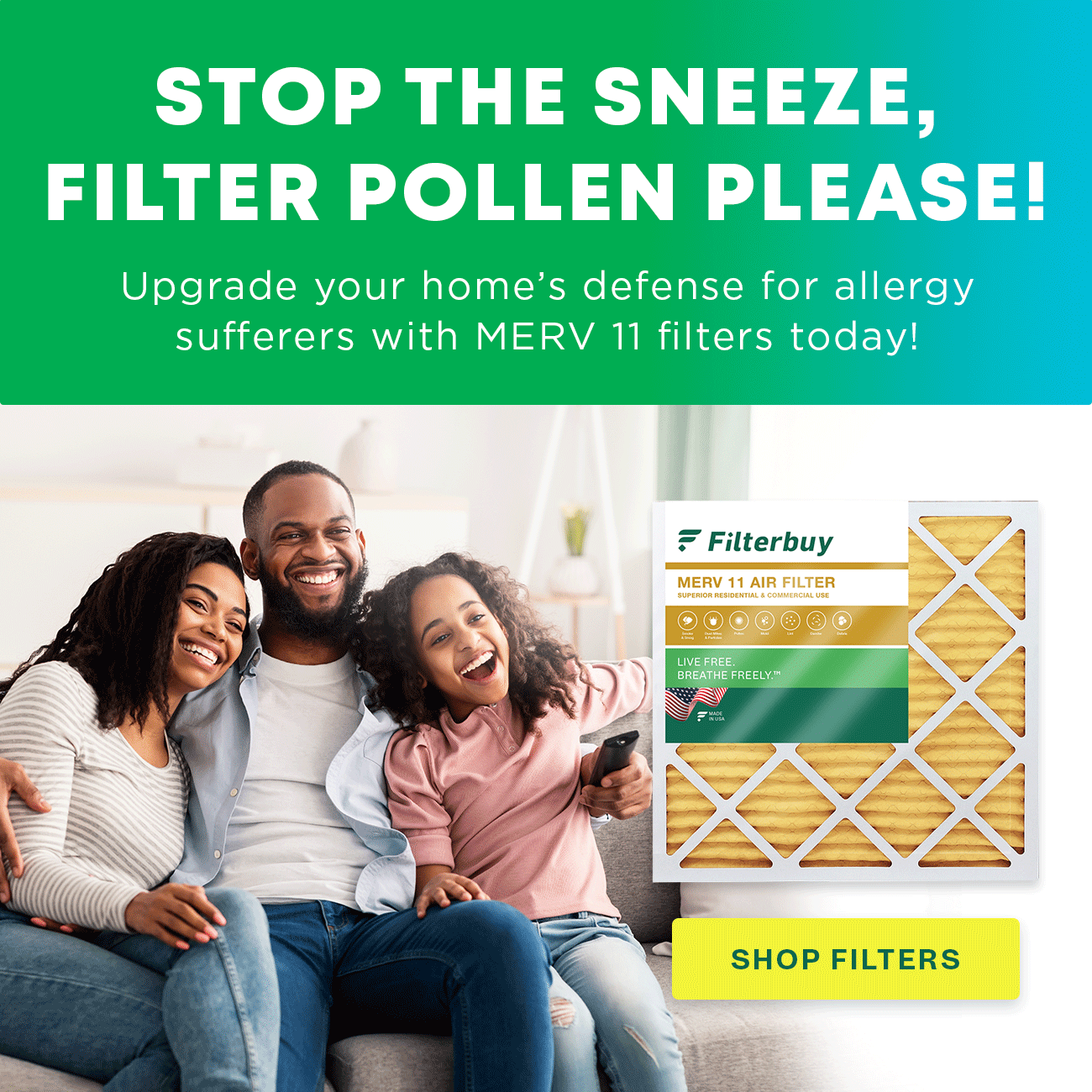 Stop The Sneeze, Filter Pollen Please!
