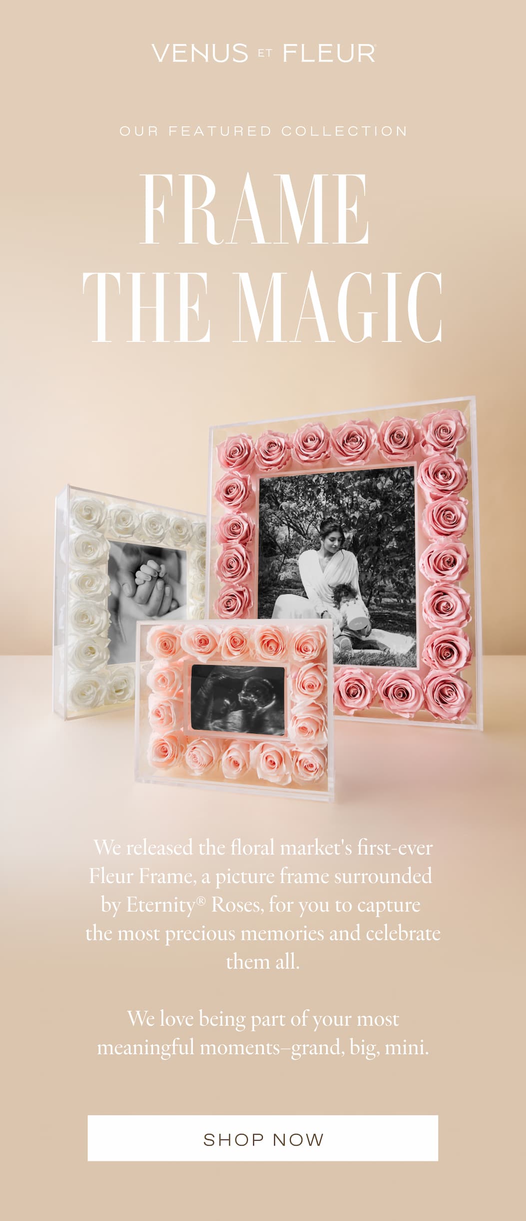OUR FEATURED COLLECTION | Frame the Magic