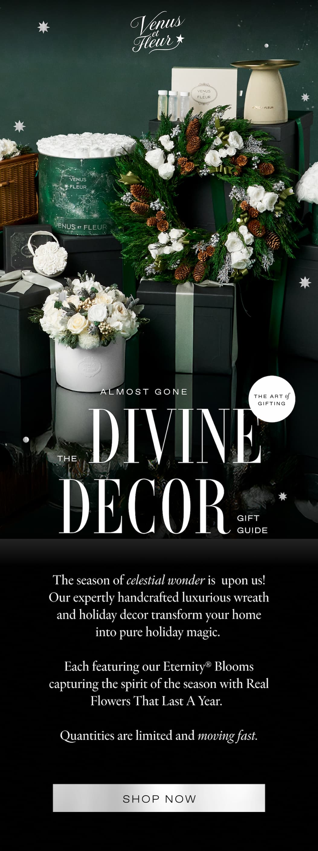 ALMOST GONE: The DIVINE DECOR GIFT GUIDE