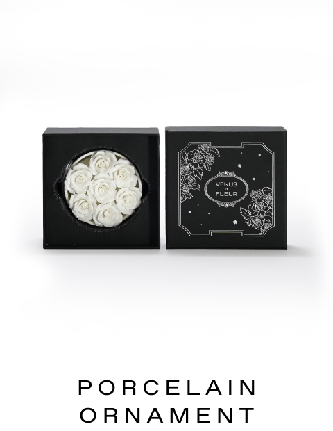 THE PORCELAIN ORNAMENT