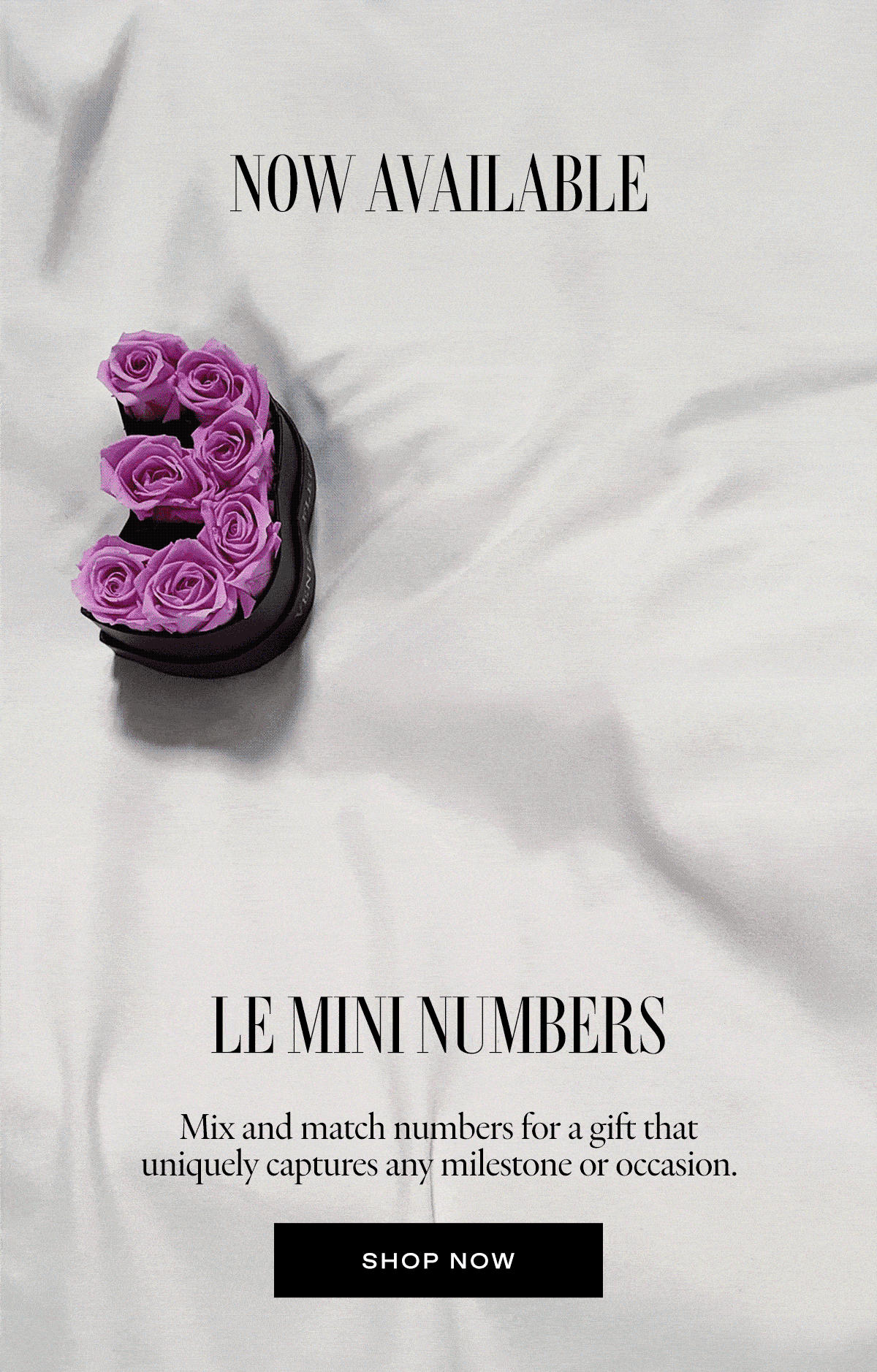 3, 2, 1…Le Mini Numbers are HERE! VENUS ET FLEUR