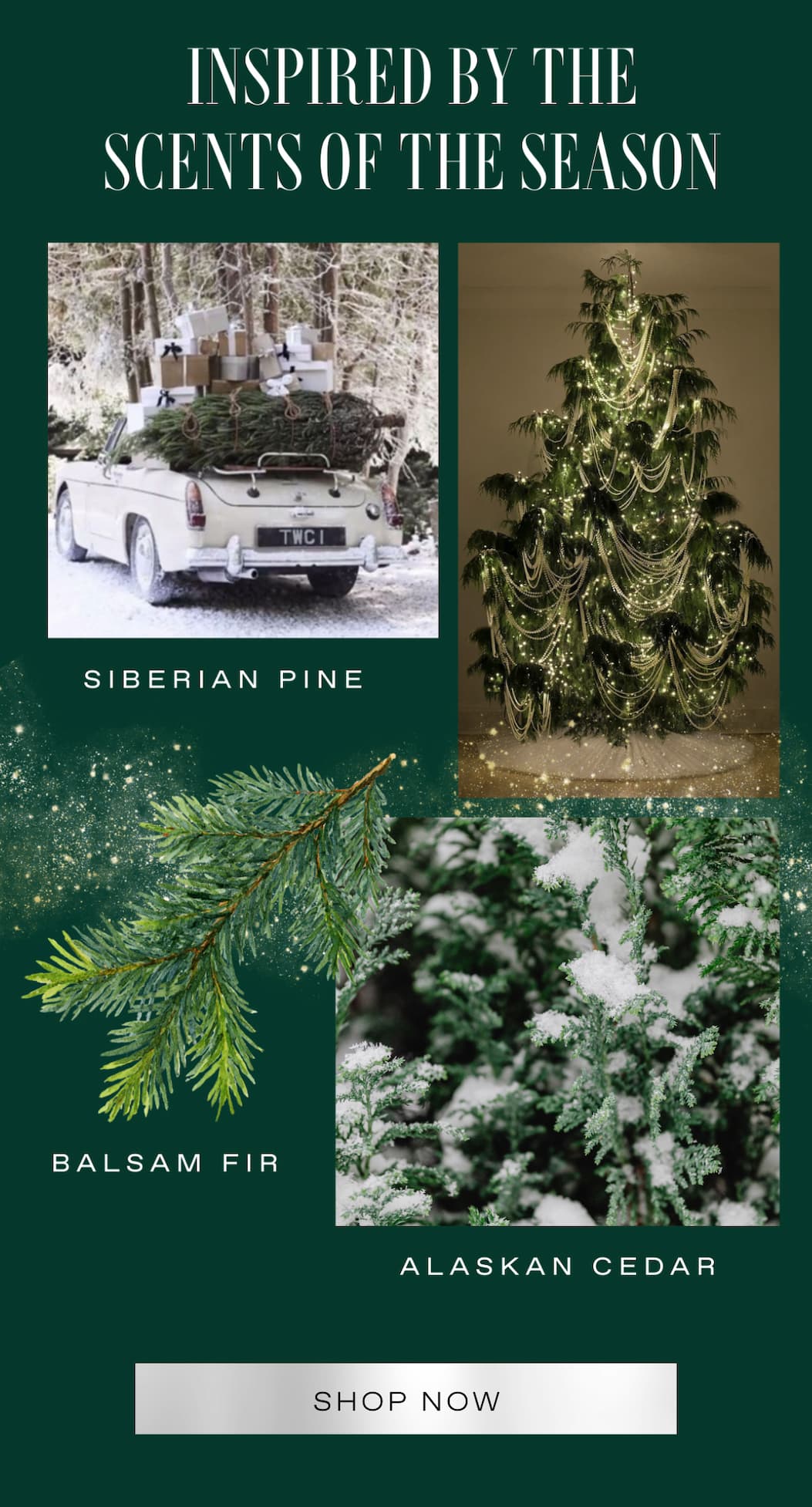 INSPIRED BY SCENTS OF THE SEASON