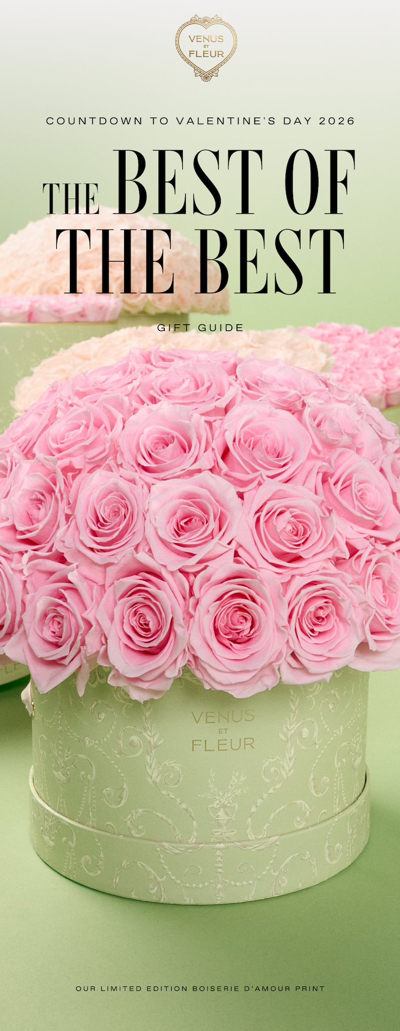 The Best of the Best Gift Guide