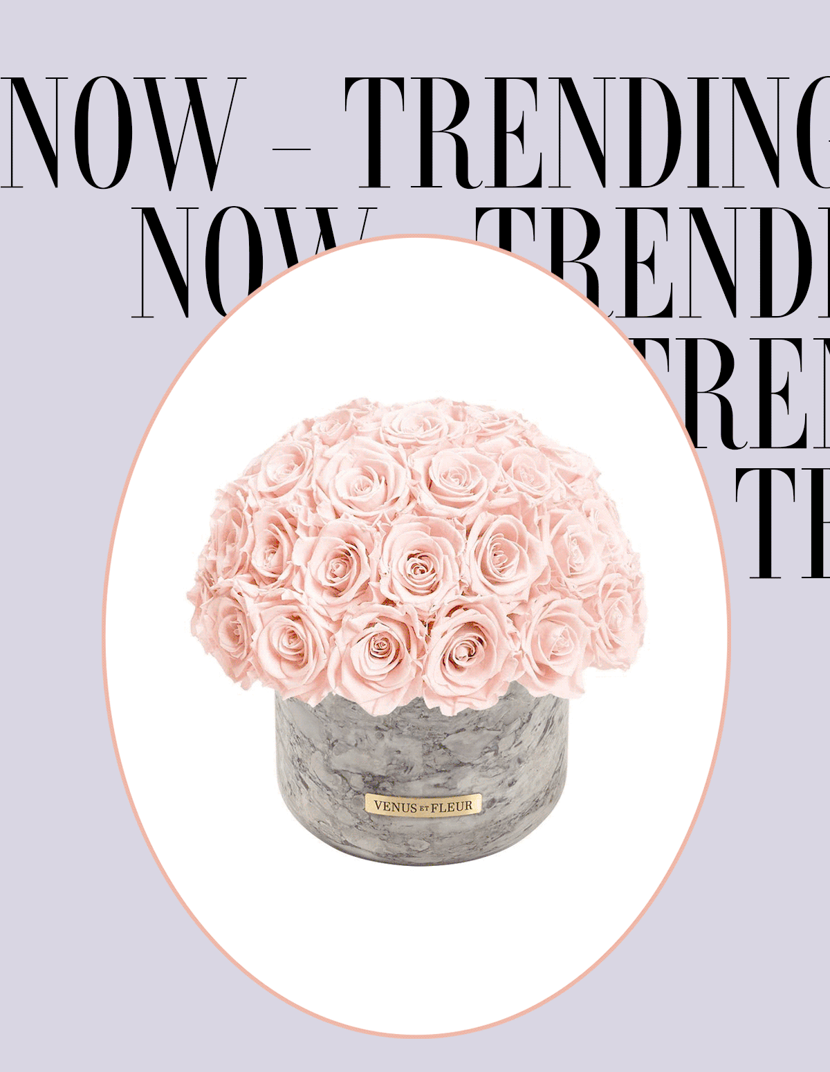 What'S Trending: Danae Lover'S X - 3zya3wj