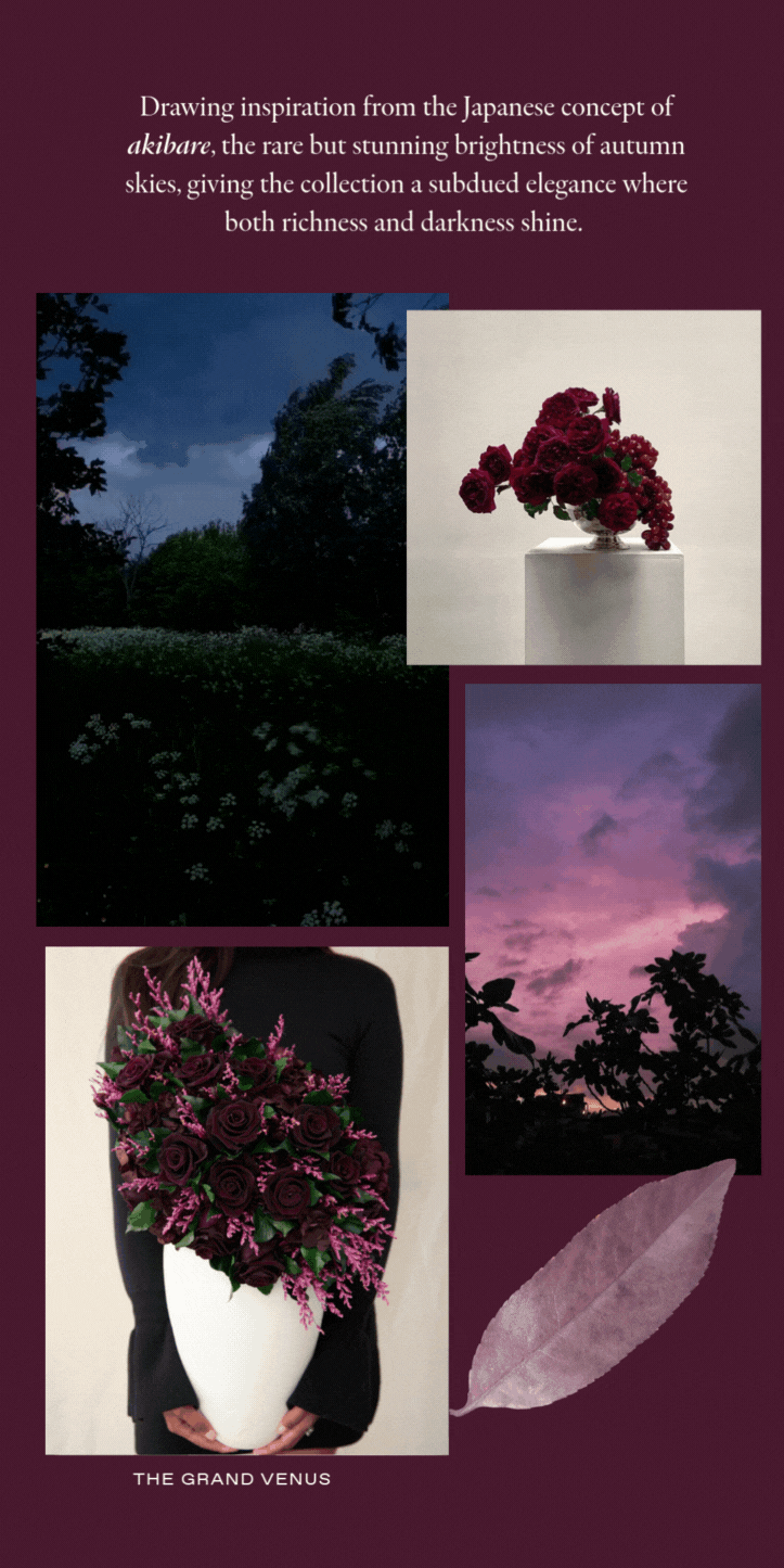 A vertical collage on a plum backdrop presenting the Fall palette and textures: a dew-kissed near-black rose, clusters of blackberries, wine-toned leaves, a white x-ray flower, multiple antiquity-inspired vessels (porcelain, clay, travertine; including a grid of ancient pots and a tall Egyptian amphora), a classical 'Flora' fresco and figure sketch, and a paint roller laying down an oxblood swatch—signaling a moody, museum-worthy direction for the Fall collection.
