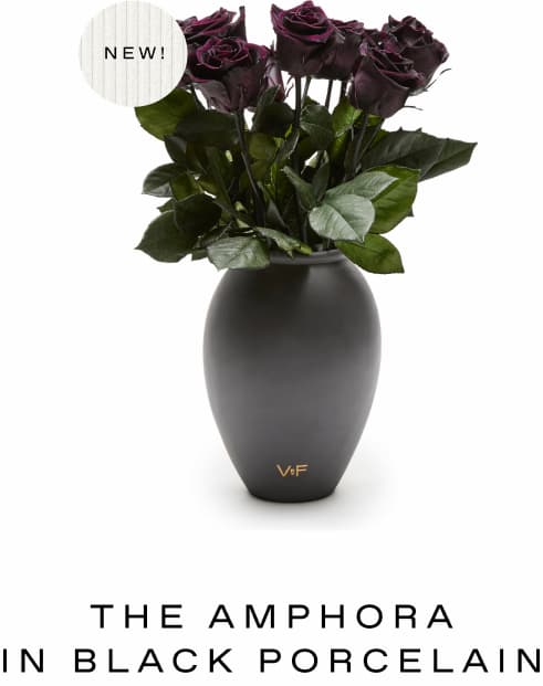 THE AMPHORA