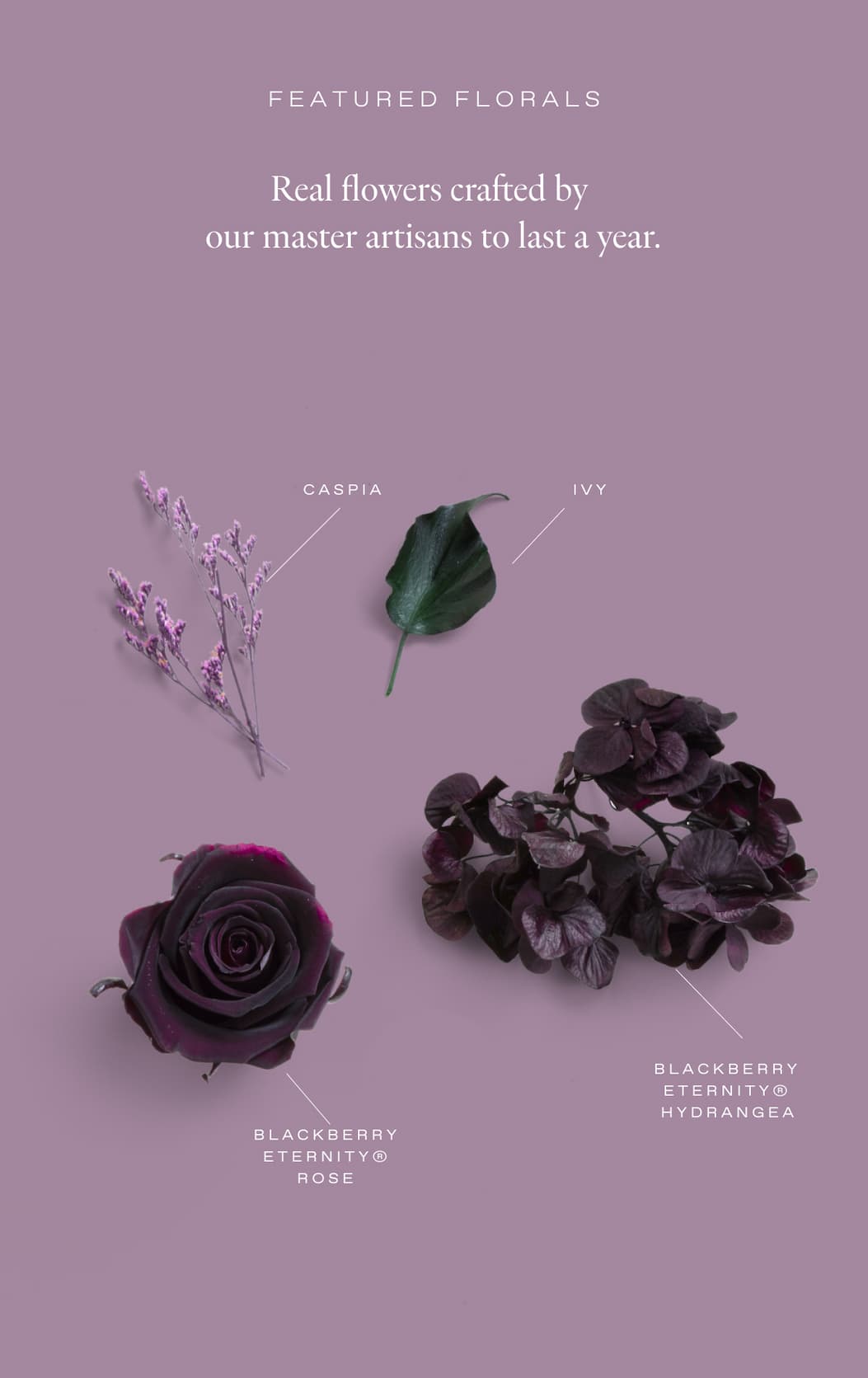 A vertical collage on a plum backdrop presenting the Fall palette and textures: a dew-kissed near-black rose, clusters of blackberries, wine-toned leaves, a white x-ray flower, multiple antiquity-inspired vessels (porcelain, clay, travertine; including a grid of ancient pots and a tall Egyptian amphora), a classical 'Flora' fresco and figure sketch, and a paint roller laying down an oxblood swatch—signaling a moody, museum-worthy direction for the Fall collection.