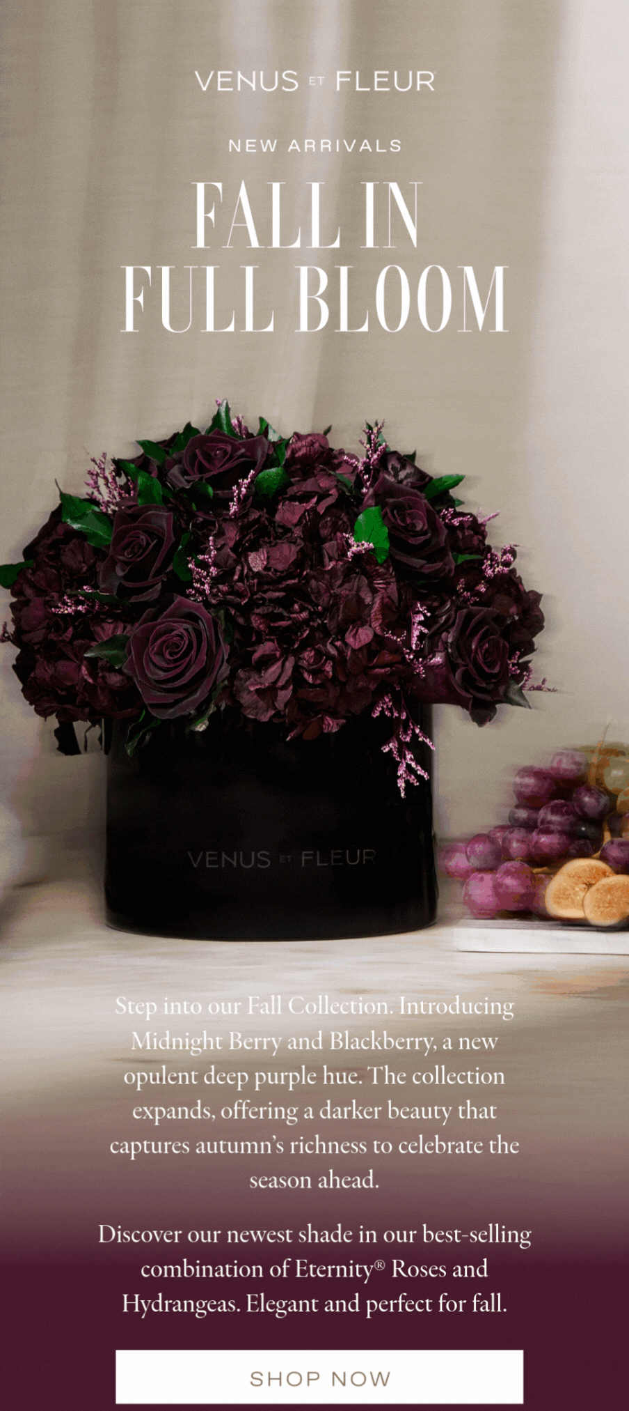 FALL 2025 COLLECTION: Our Newest Arrangements