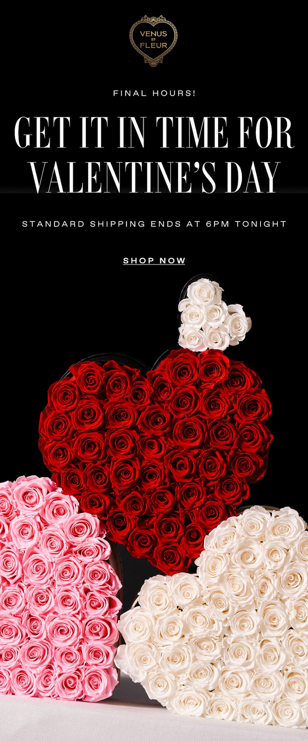 FINAL HOURS STANDARD SHIPPING