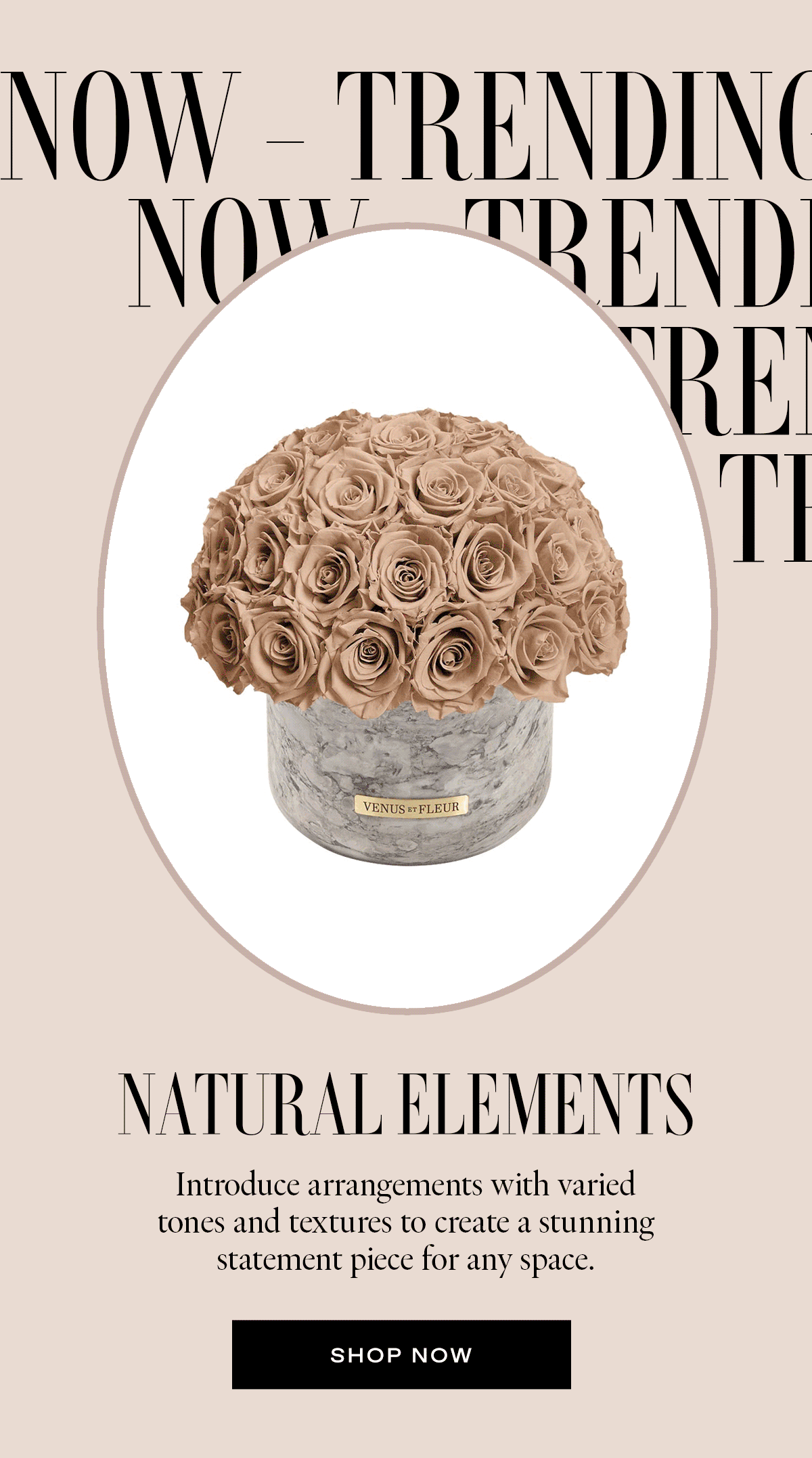 Take a peek at what's trending this month 👀 VENUS ET FLEUR