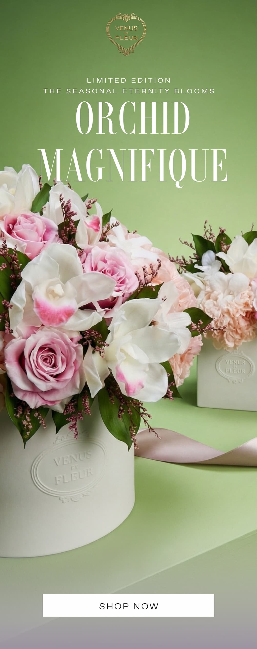 A LOOK BEHIND THE CURTAIN