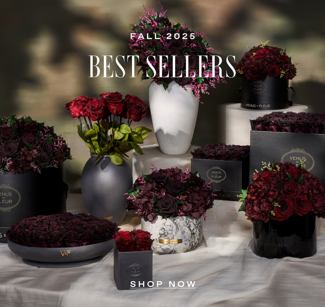 FALL 2025 BEST SELLERS