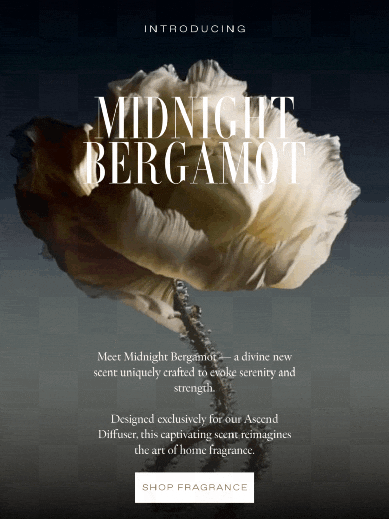 Midnight Bergamot