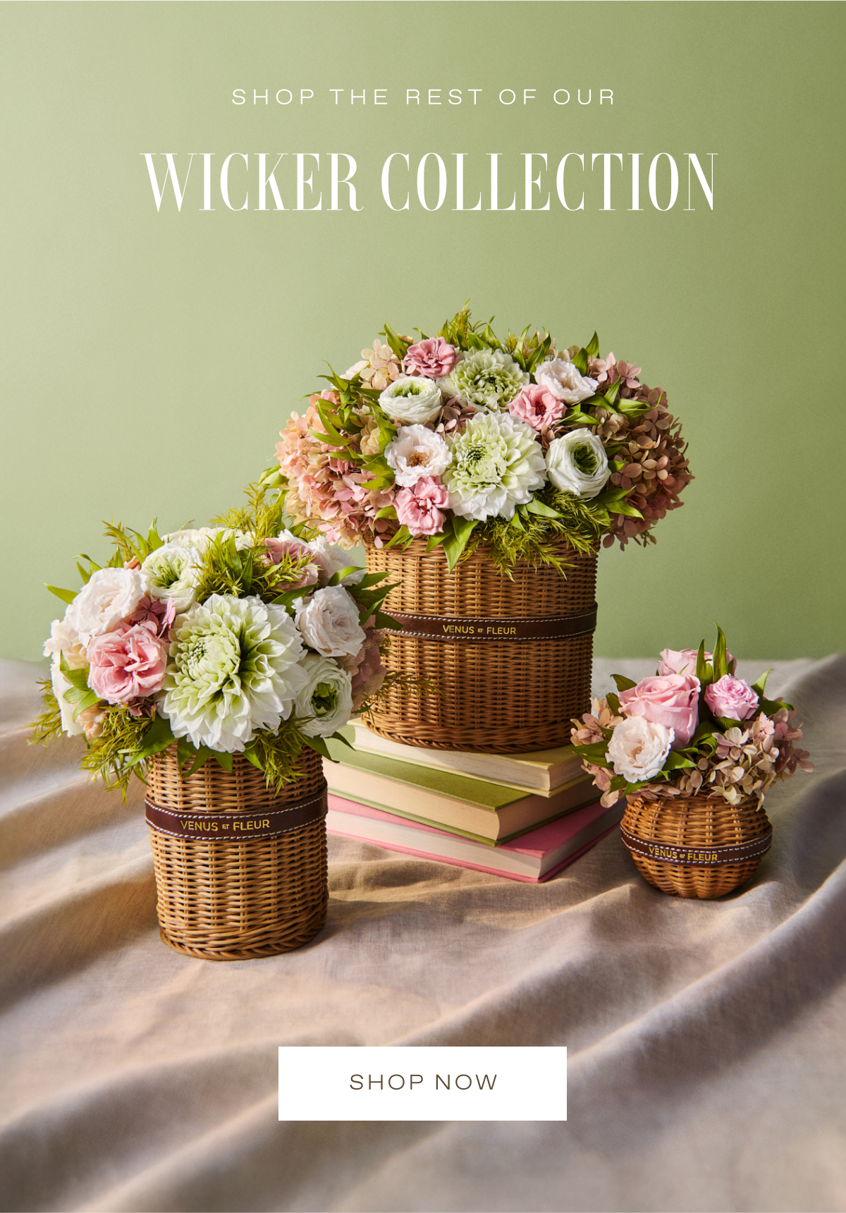 SHOP THE REST OF OUR - Wicker Collection
